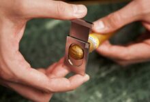 Hands using a guillotine cigar cutter to cut a Cohiba cigar