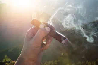 Close-up of Cuban cigar smoking in someone's hand out in nature