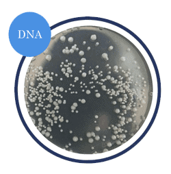 DNA graphic 