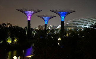 Gardens by the bay at night