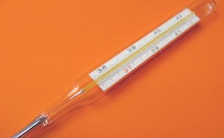 Mercury in glass thermometer