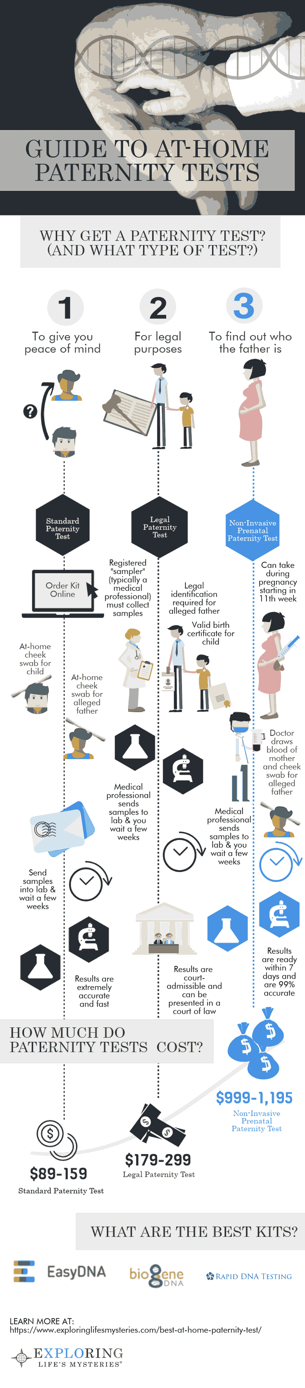 Paternity Test Infographic