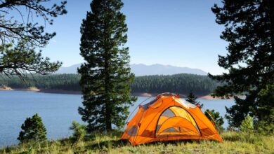 An orange tent pitched on a grassy slope overlooking a beautiful lake surrounded by pine trees